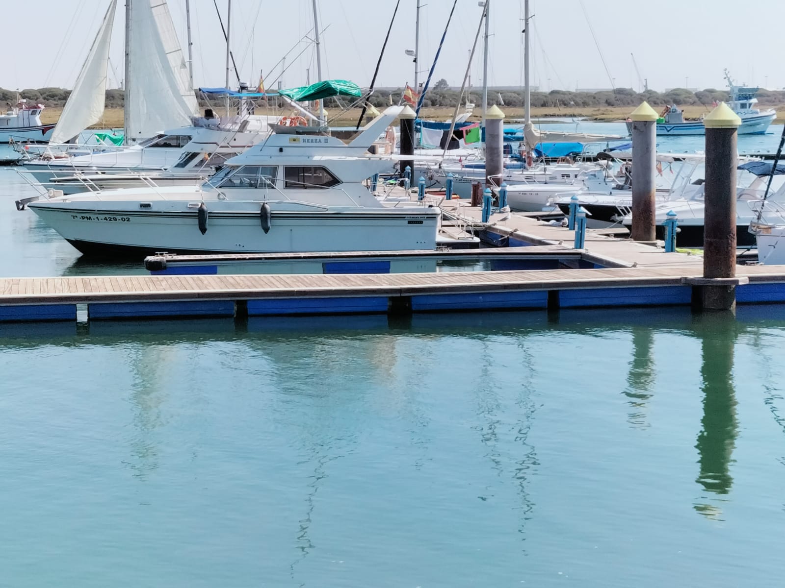 Ocasión 1988 Fairline 36 Sedan - Huelva | TopBarcos.com