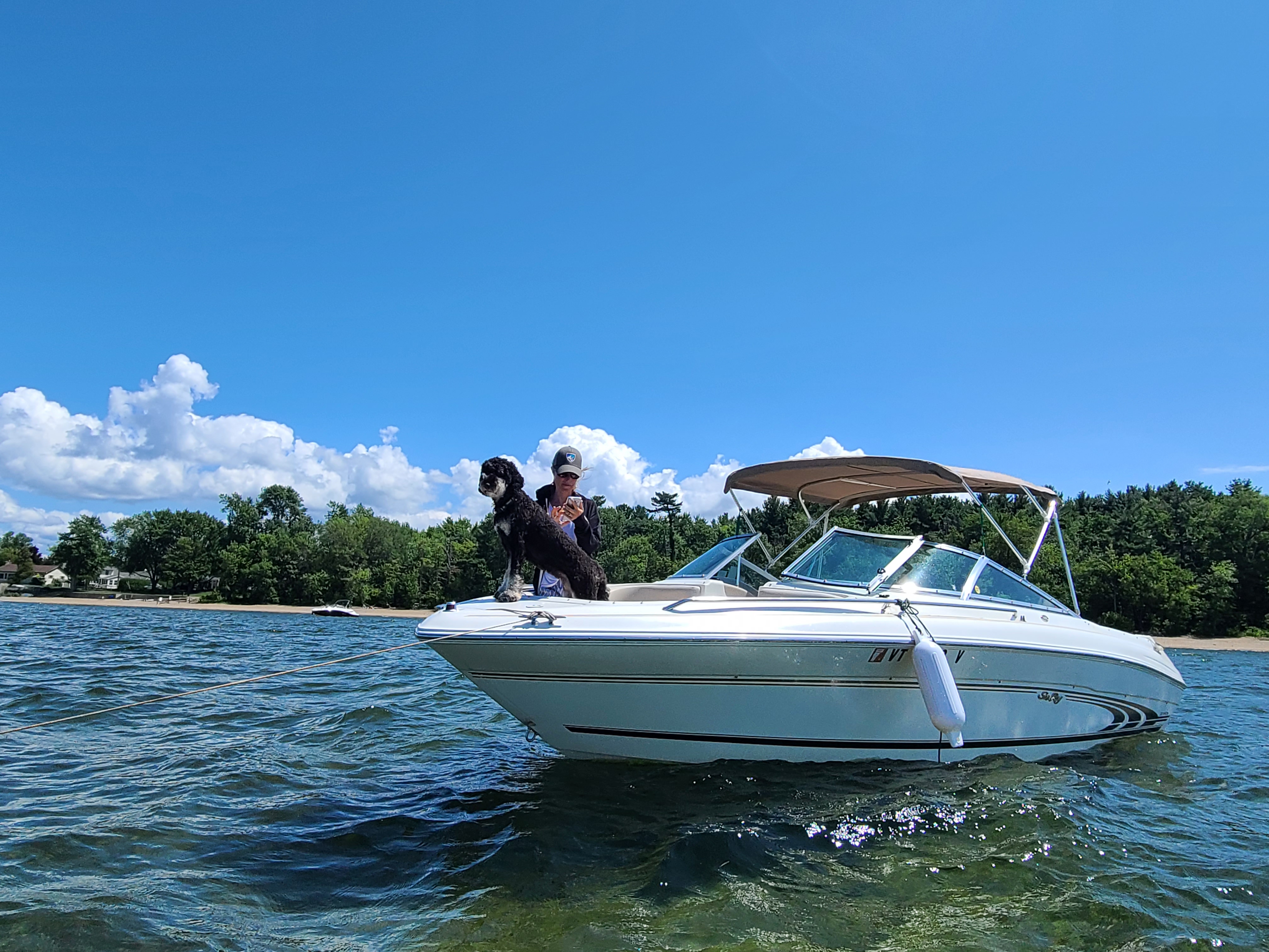 Used 1998 Sea Ray 210 Signature, 05464 Jeffersonville - Boat Trader