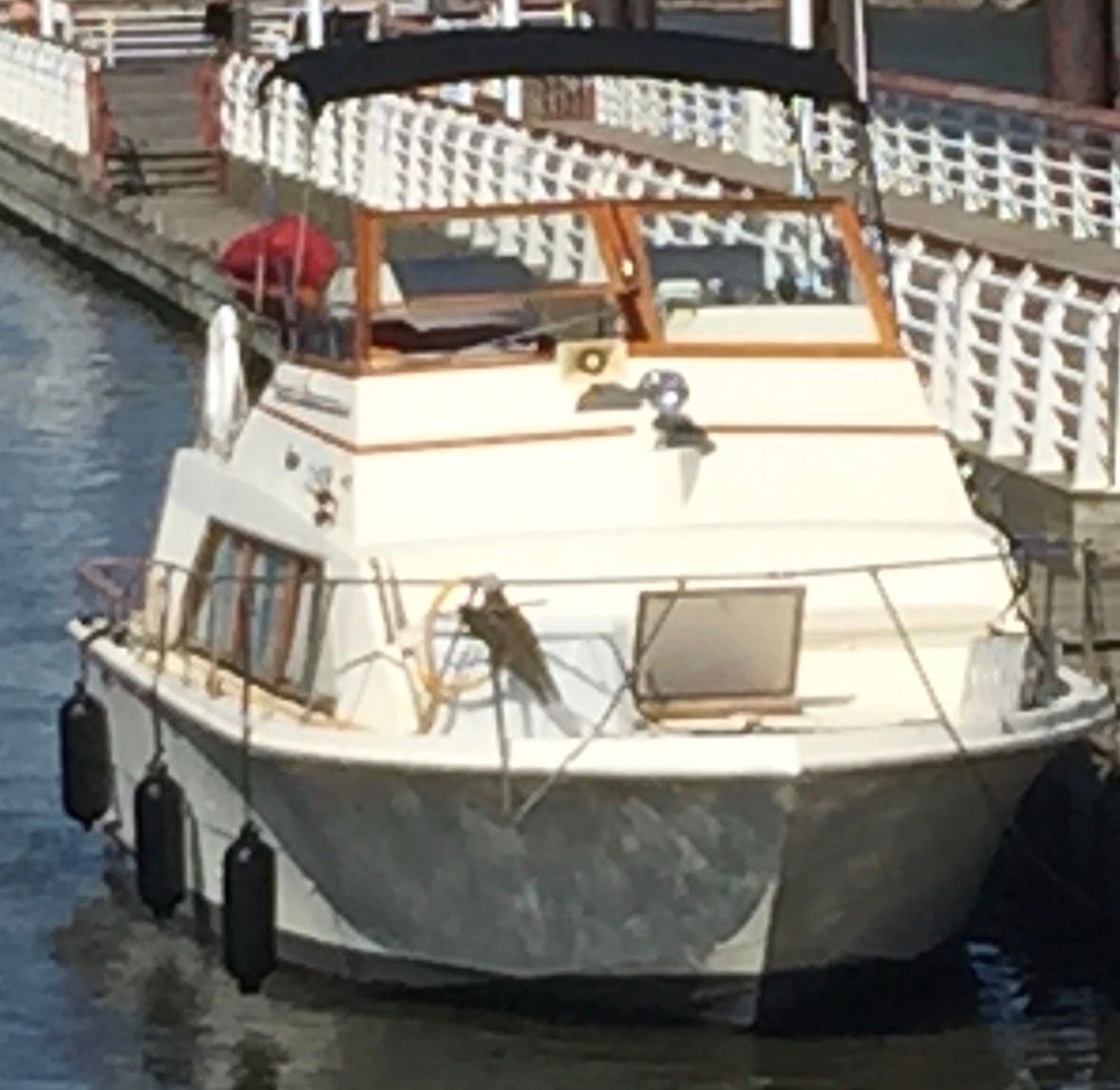 Used 1978 Carver 3395 Mariner, 55076 Inver Grove Heights - Boat Trader